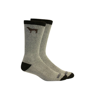 BROWN DOG SOCKS
